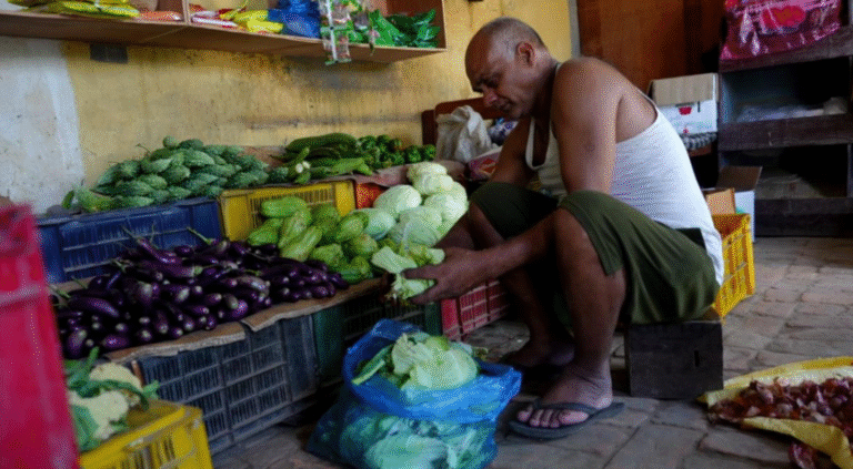 10-Year Initiative: Sustainable Waste-to-Value Carbon Project in Nepal