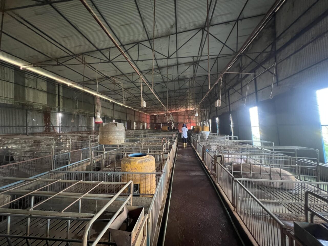 10-Year Pilot: Advancing Climate-Smart Livestock in Nepal