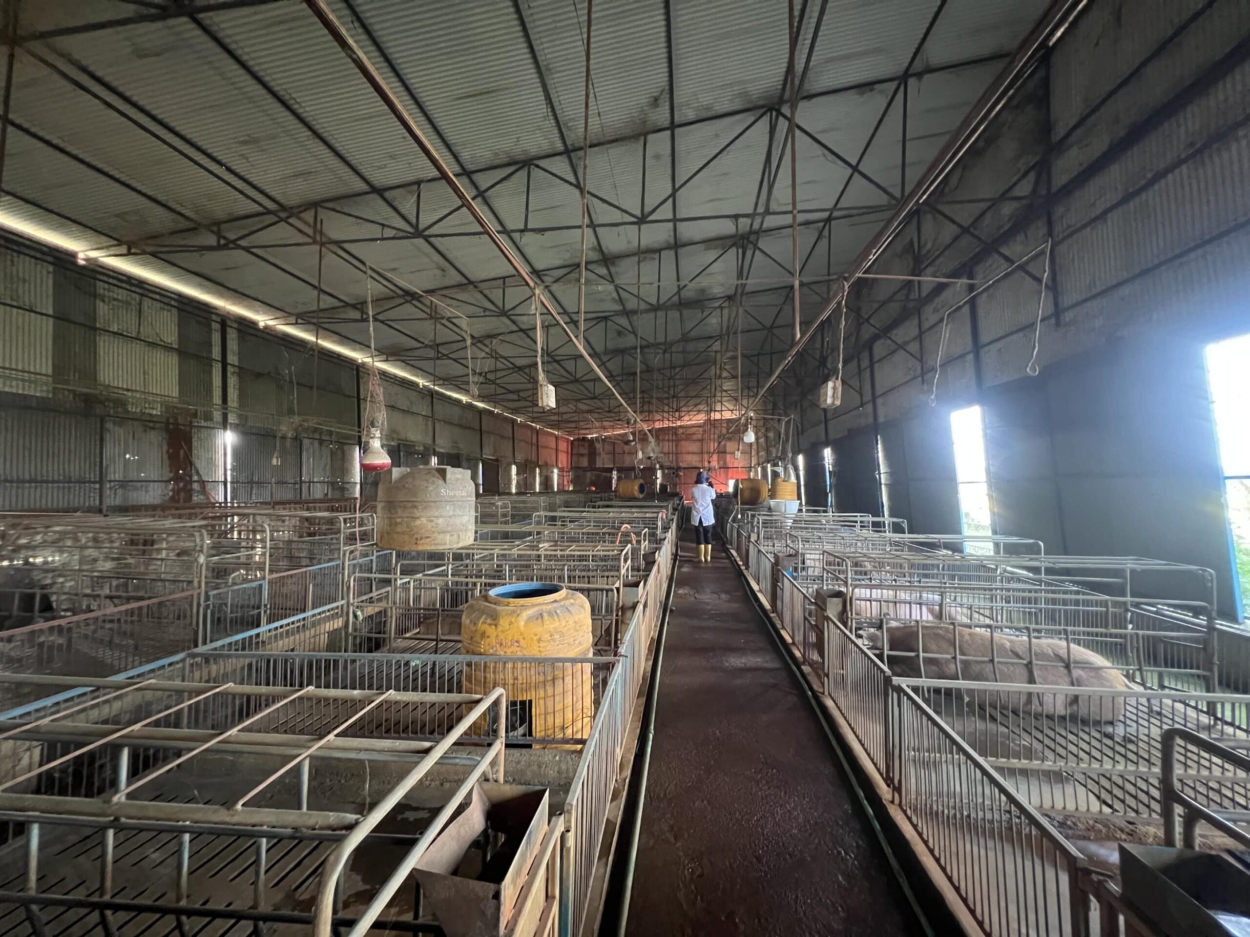 Advancing Climate-Smart Livestock